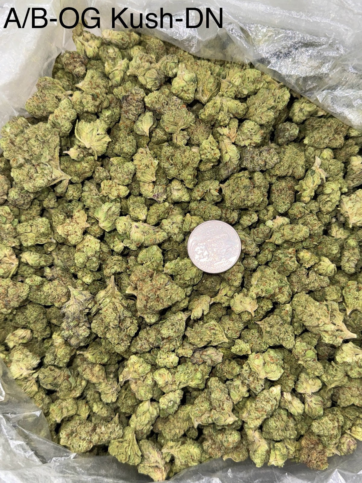 Cali Farms Bulk Exotics