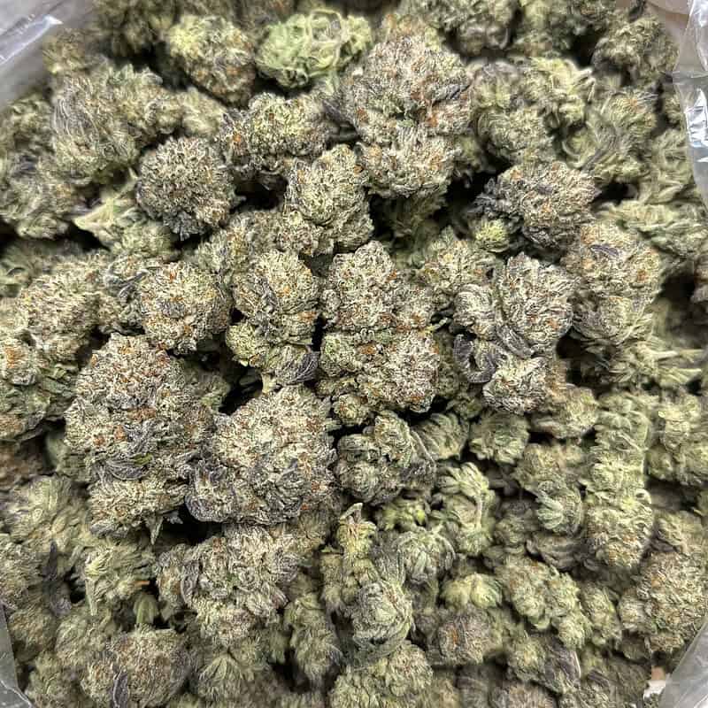 Oreoz Exotic THCA Flower 31.01%