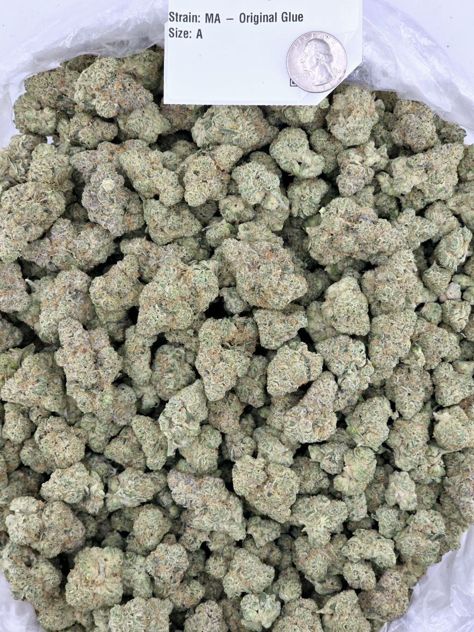 Cali Farms Bulk Exotics