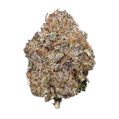 Permanent Marker THCA Flower 37.85%