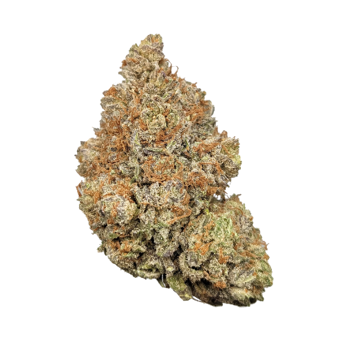 Pineapple Express THCA Flower | Sativa-Dominant Hybrid