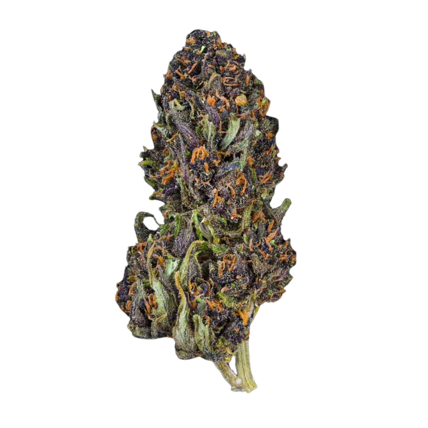 Pink Panther THCP Flower | Sativa-Dominant Hybrid