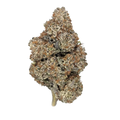 Purple Punch THCA Flower | Indica-Dominant Hybrid