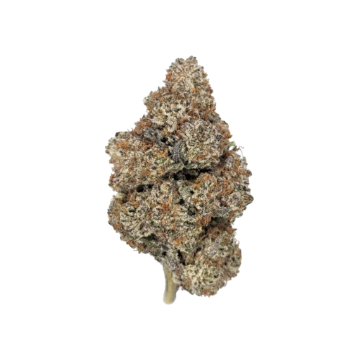 Purple Punch THCA Flower | Indica 32.30%