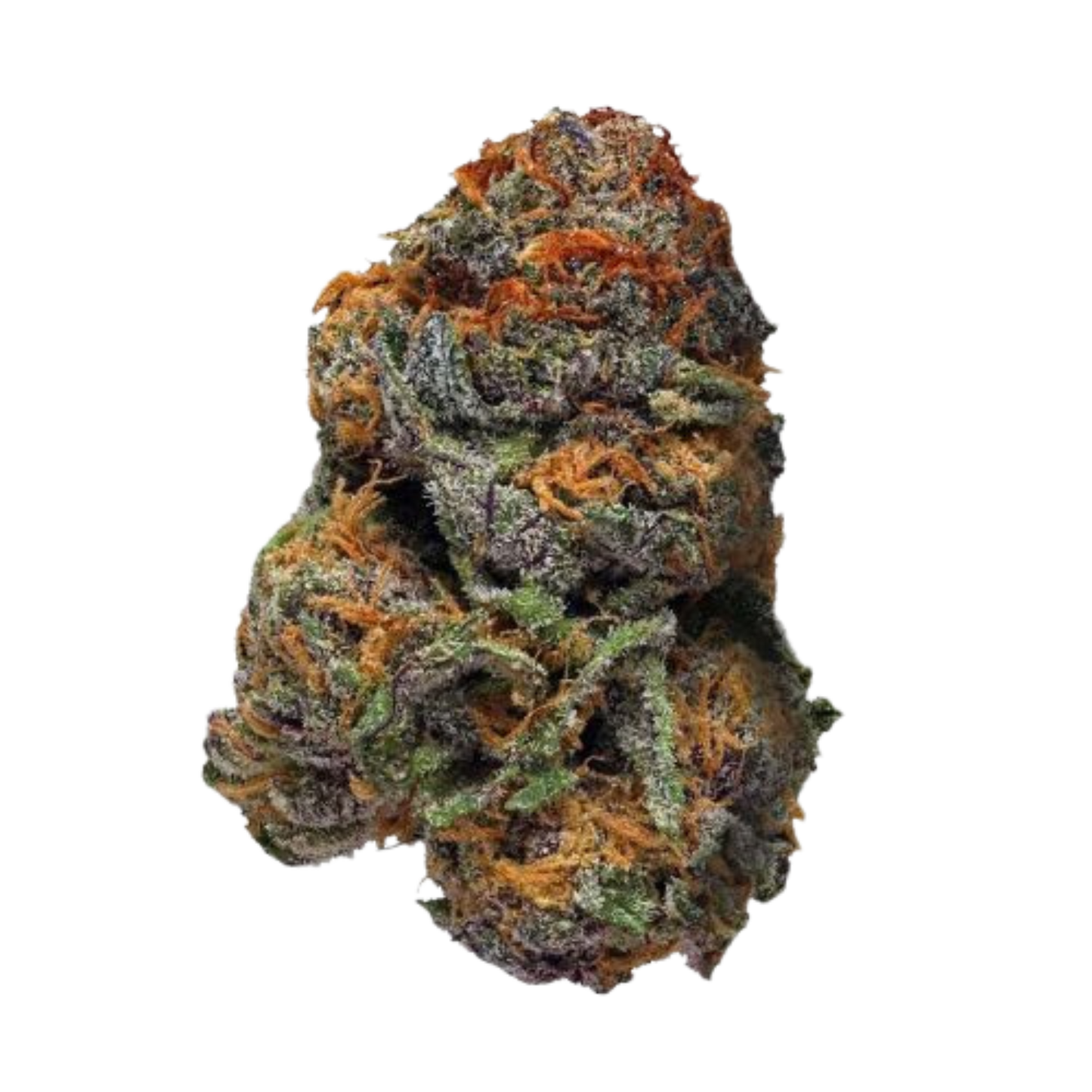 Purple Voodoo | Exotic THCA Flower | Hybrid 33.82%