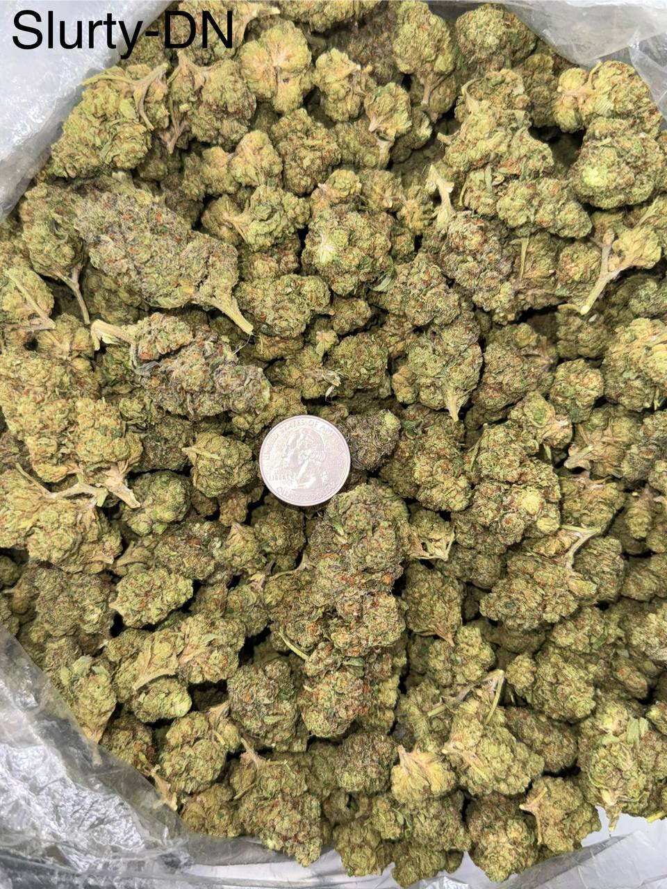 Cali Farms Bulk Exotics