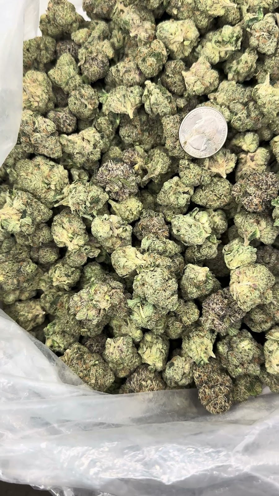 Cali Farms Bulk Exotics