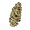 Super Buff Cherry THCA Flower 27.53%