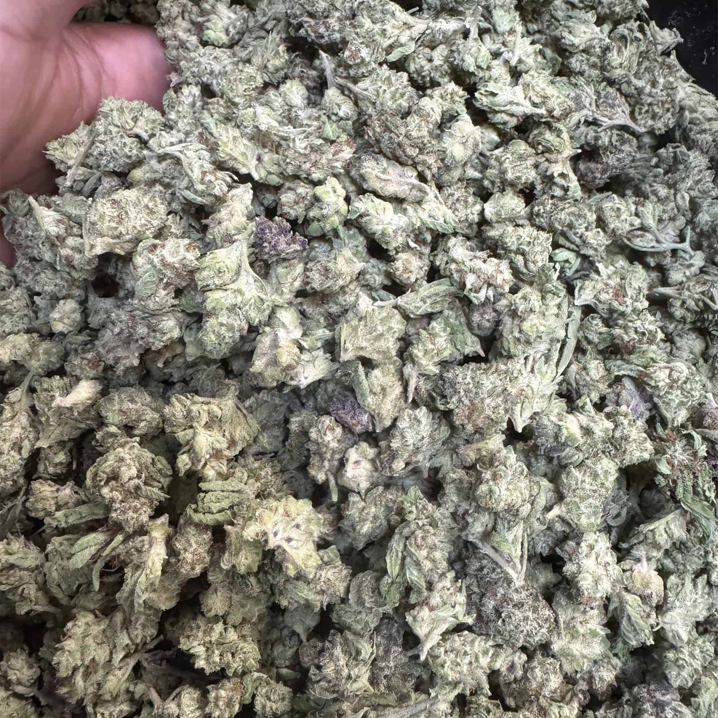 Cheap THCA Smalls Ounce