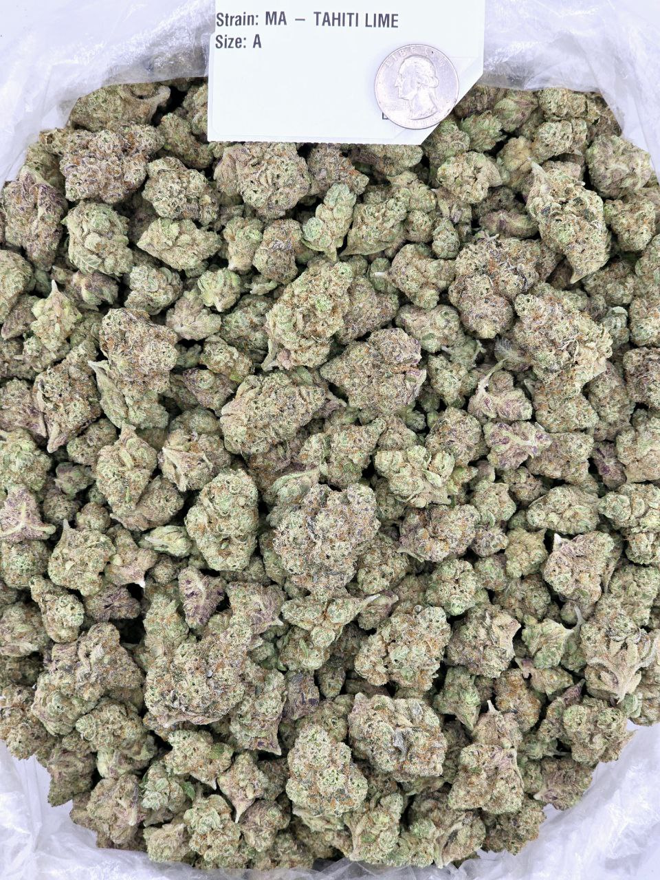 Cali Farms Bulk Exotics