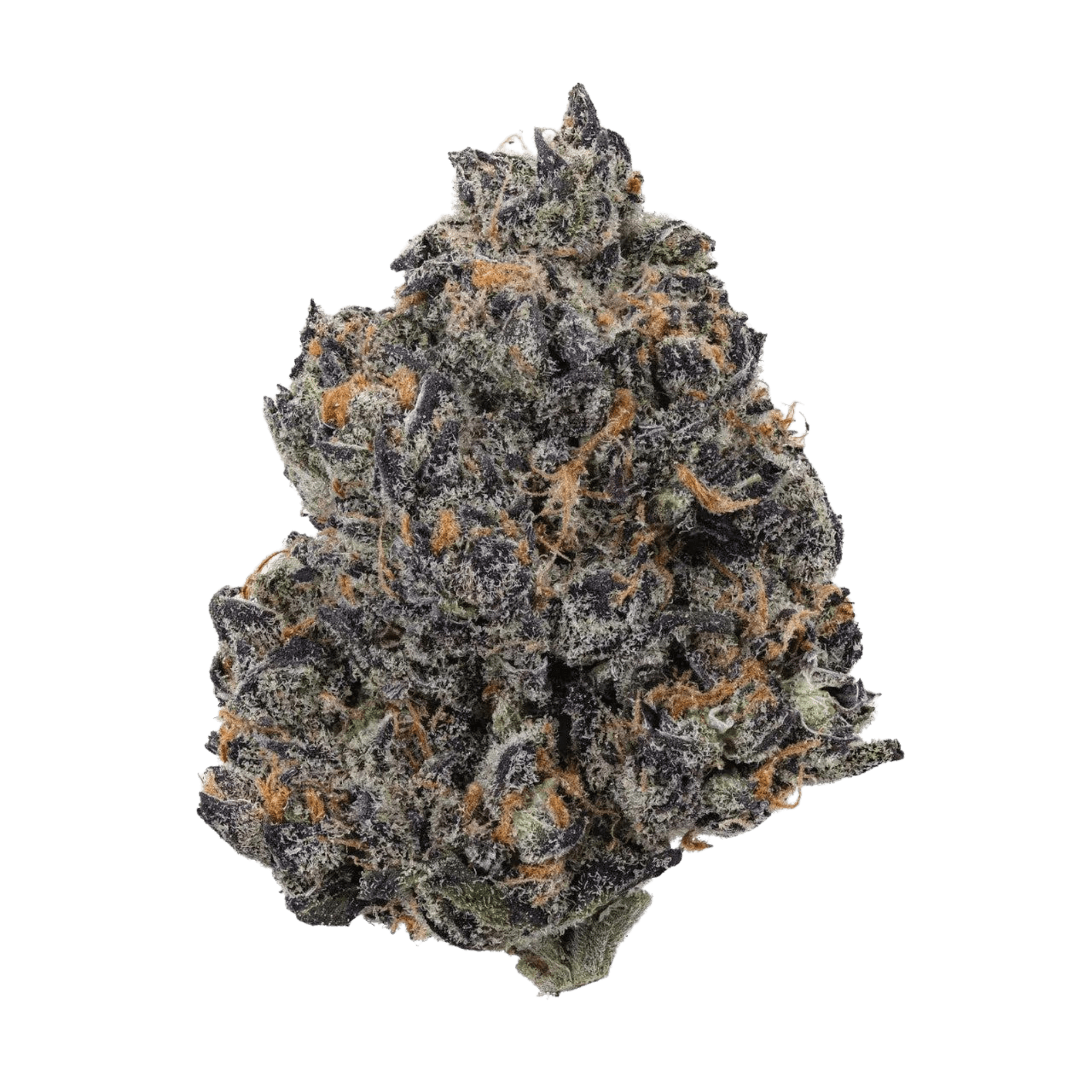 Tropicana Cookies Exotic THCA Flower 26.07%