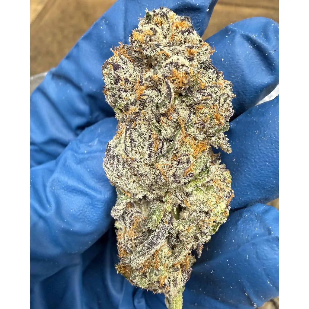 Unicorn Candy Exotic THCA Flower 30.40%