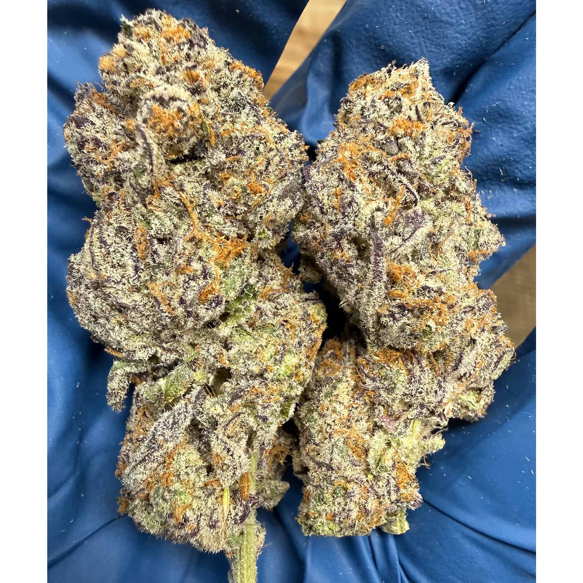 Unicorn Candy Exotic THCA Flower 30.40%