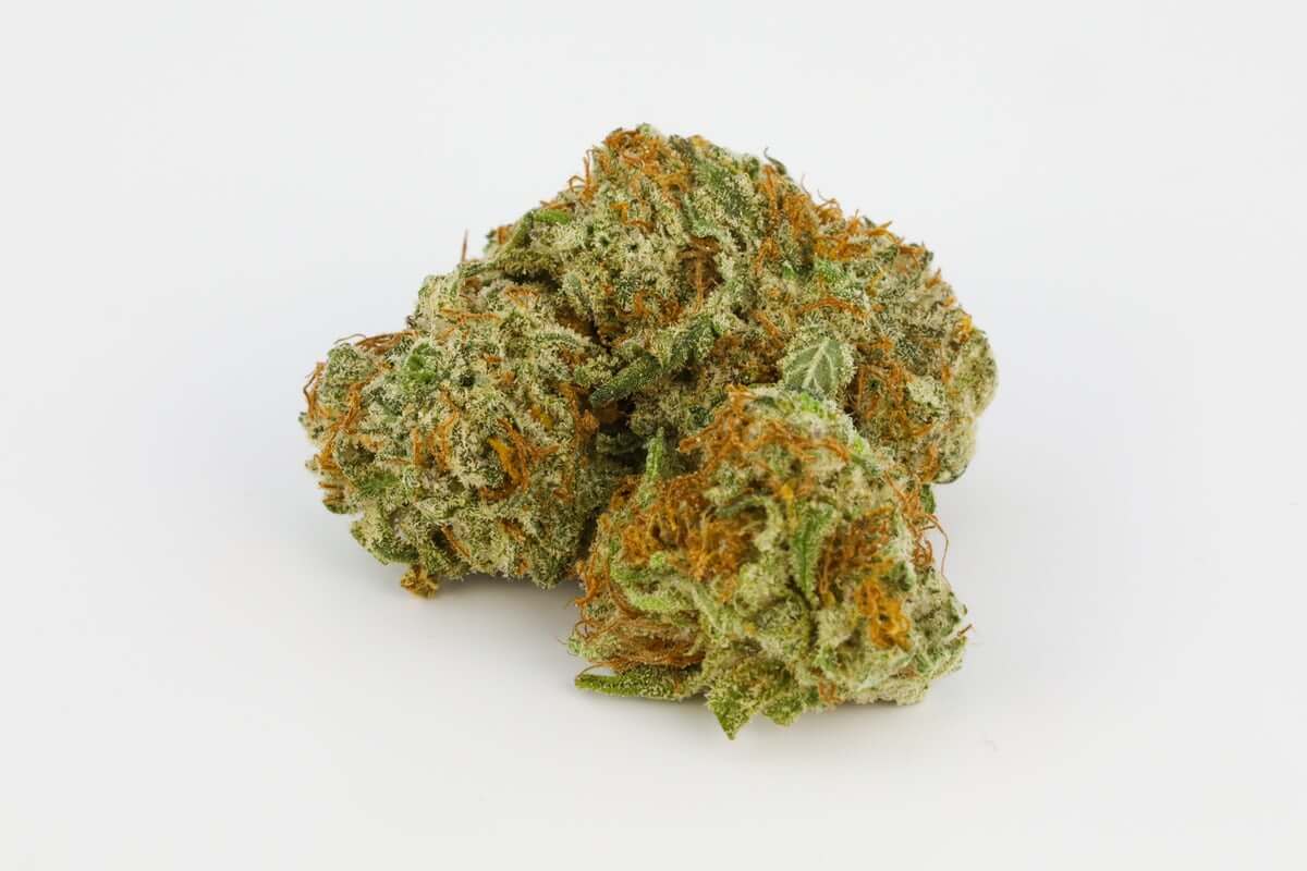 Mimosa - THC-A Flower