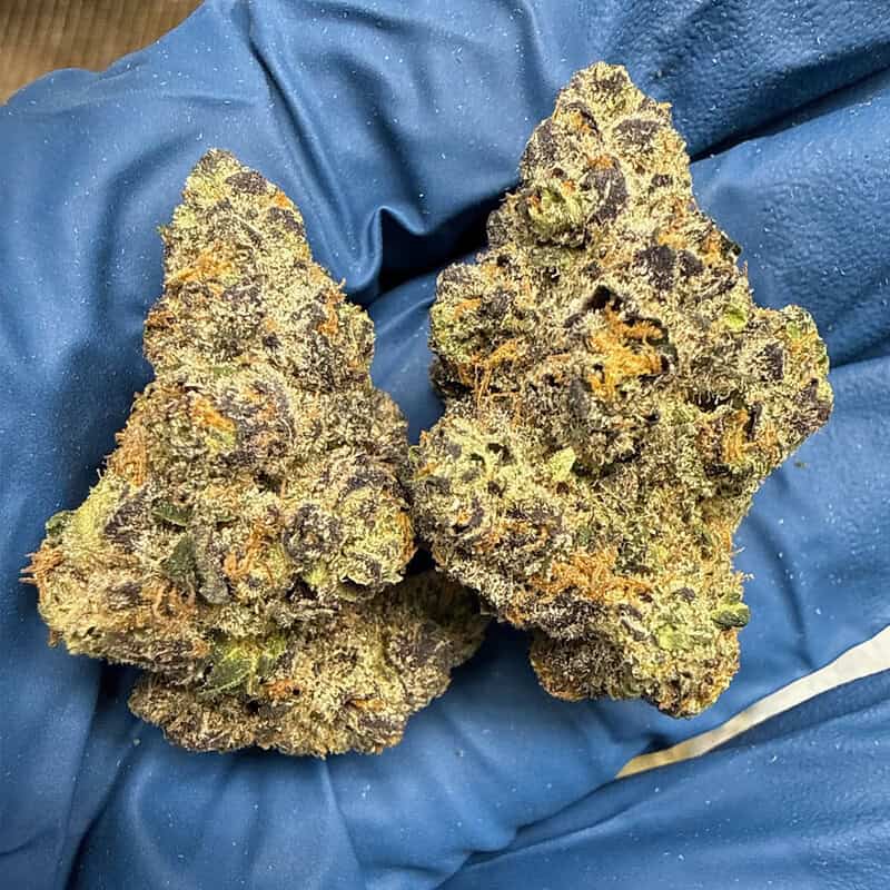 Trop Chem Exotic THCA Flower 26.67%