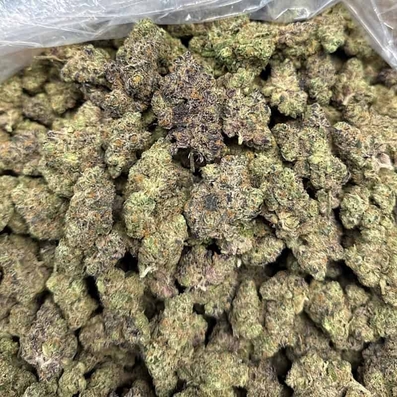 Trop Chem Exotic THCA Flower 26.67%