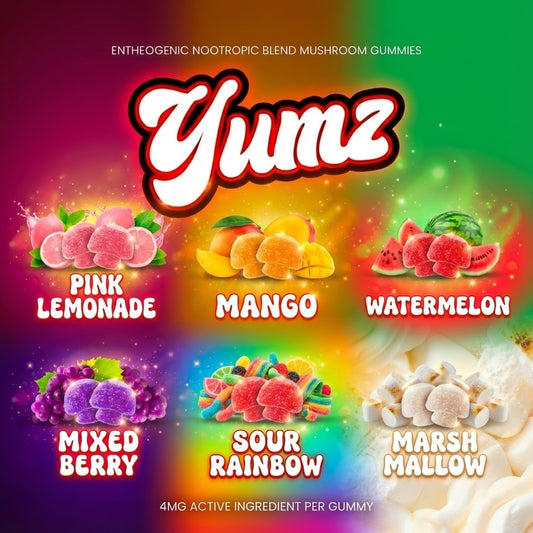 YUMZ - Legal Mushroom Gummies ( Wholesale Bundle ) - 60 Bags