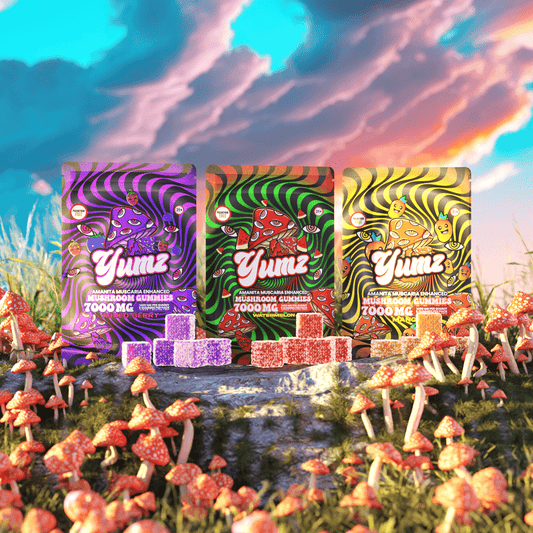 YUMZ - Mushroom Gummies | FREE | Random Flavor | You Will Receive Watermelon, Mango, Mixed Berry Or Pink Lemonade..