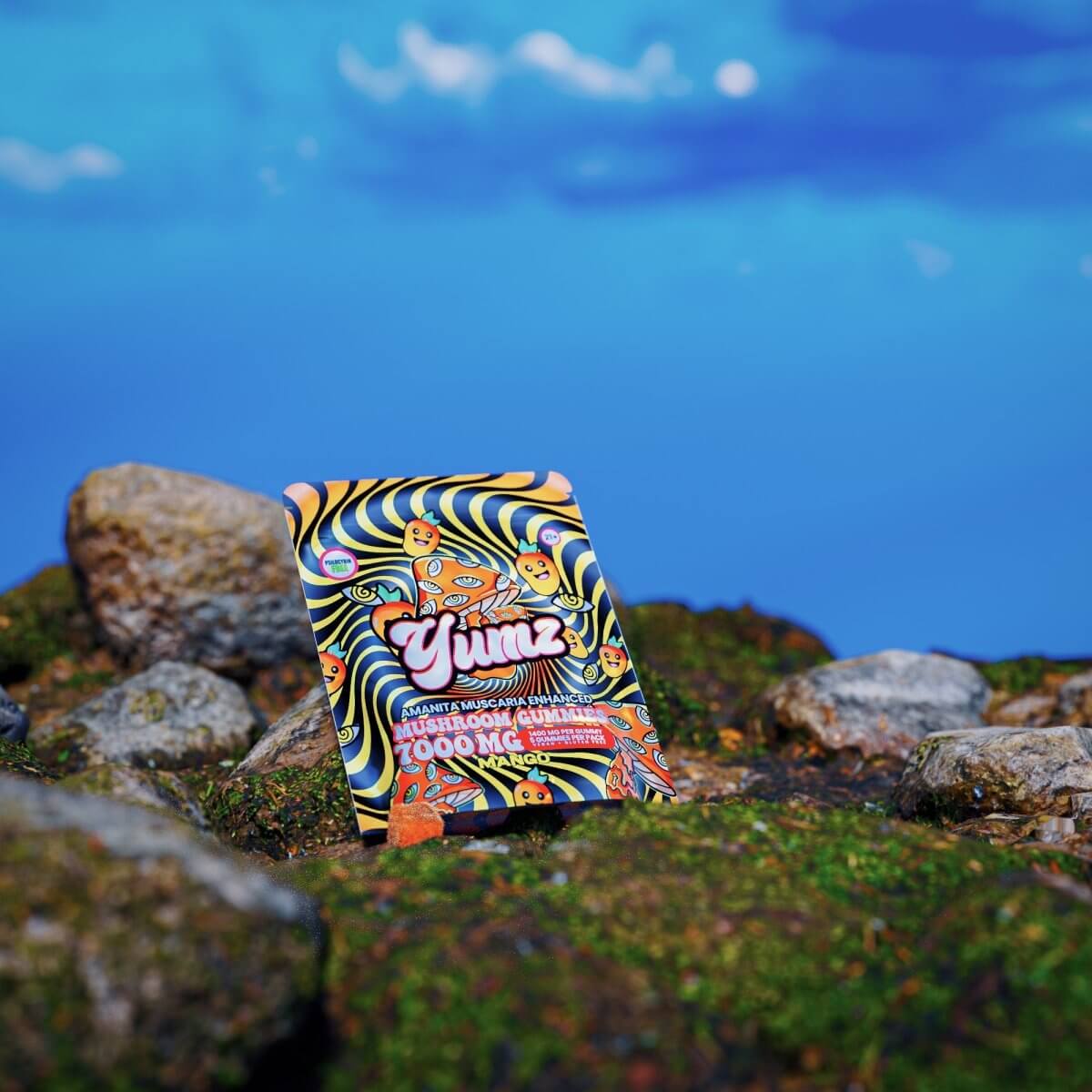 YUMZ - Mango ( Mushroom Gummies )