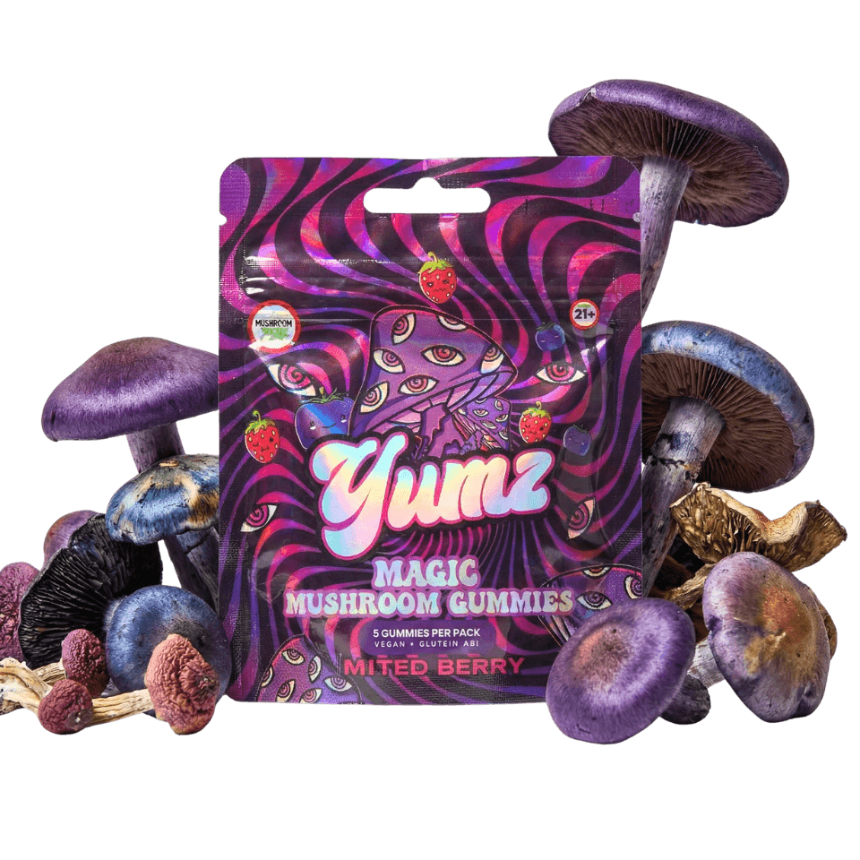 YUMZ - Mixed Berry ( Mushroom Gummies )