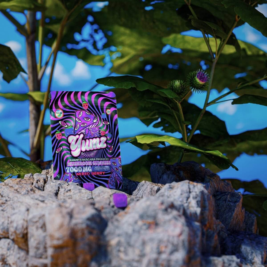 YUMZ - Mixed Berry ( Mushroom Gummies )
