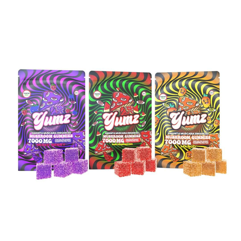 YUMZ - Mushroom Gummies ( Bundle )
