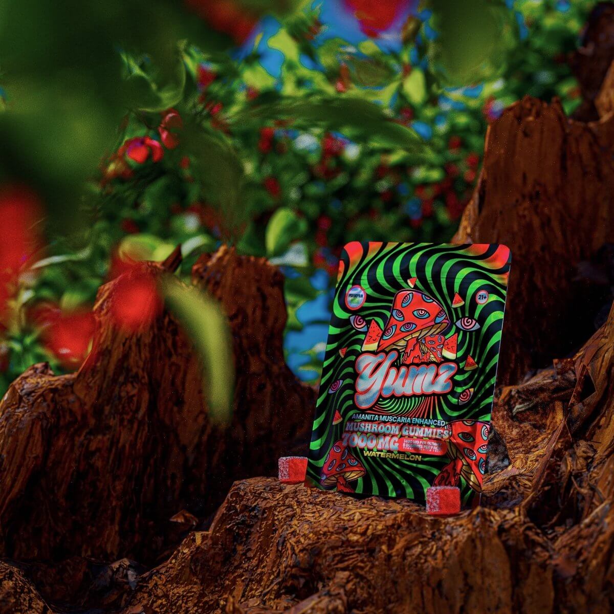 YUMZ - Watermelon ( Mushroom Gummies )