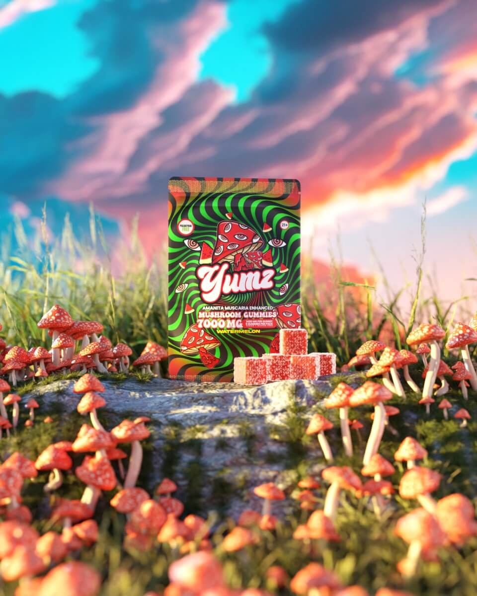 YUMZ - Watermelon ( Mushroom Gummies )